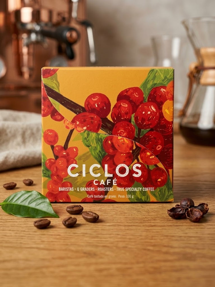 Ciclos Roasted Whole Bean Coffee Box (100g)