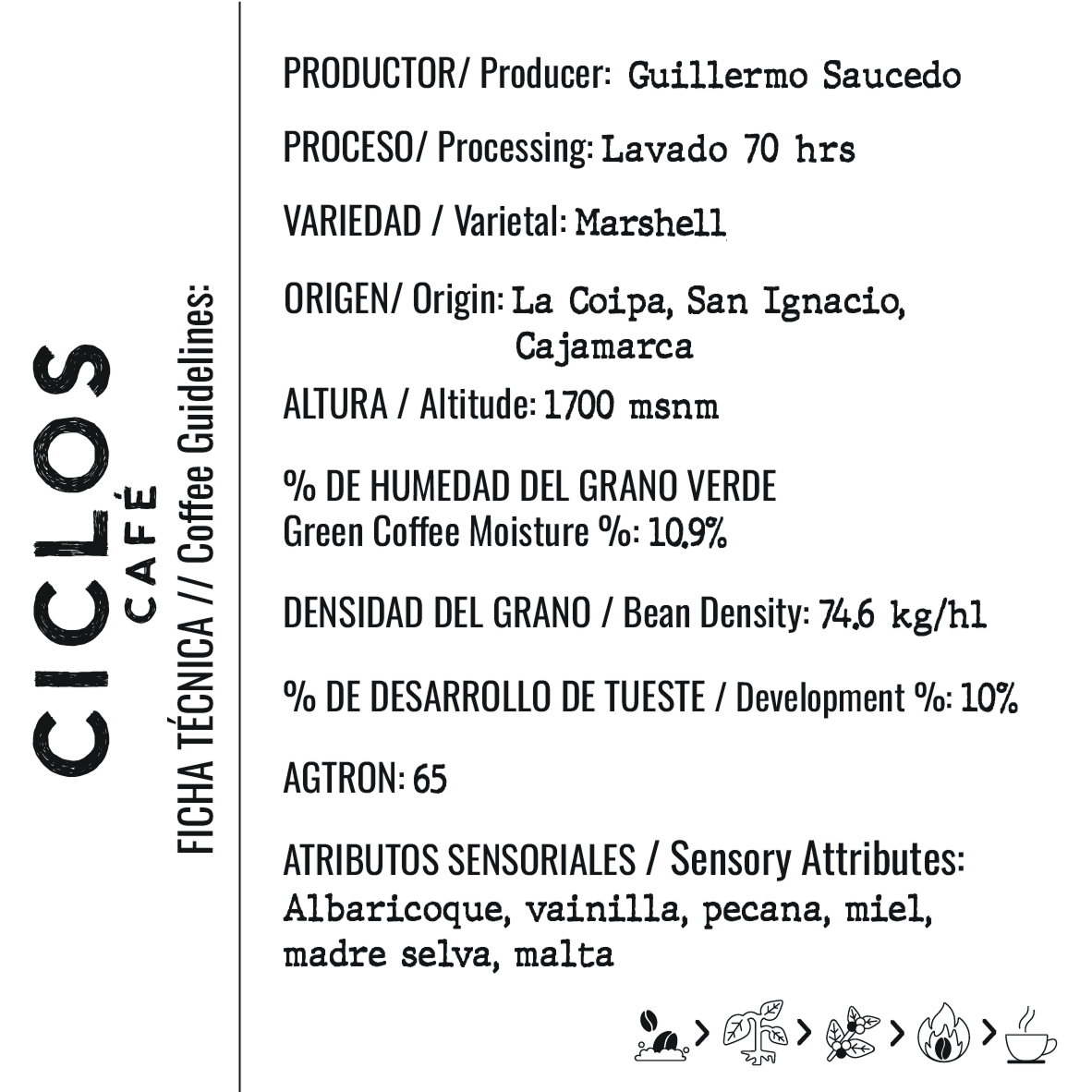 Marshell / Guillermo Saucedo